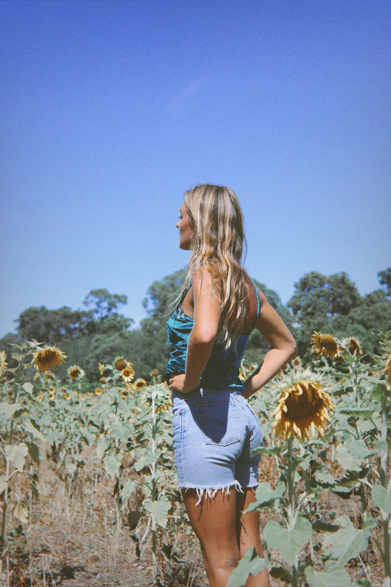Hendrix Cami - Teal - Image 4